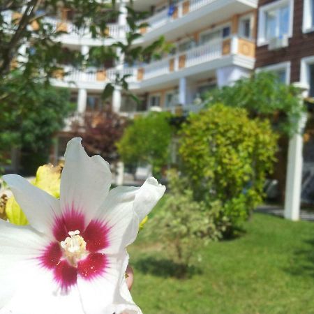 Villa Aria Complex Sunny Beach Exterior foto